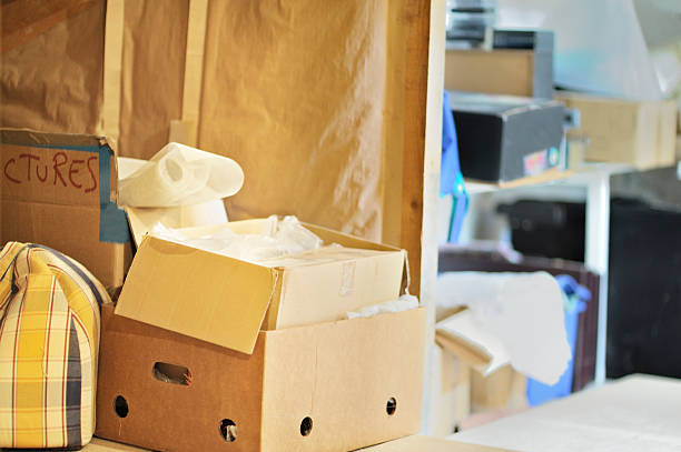 Best Household Junk Removal  in Knoxvle, IL